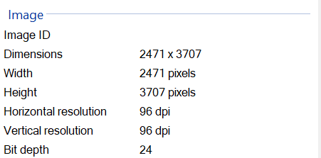 1mb image details
