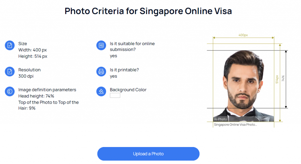 Singapore online visa requirements