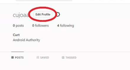 Edit profile on instagram online