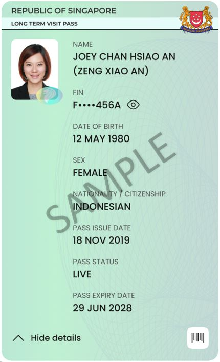 Singapore long term visit pass sample