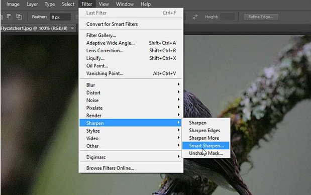 Smart Sharpen on Adobe Photoshop