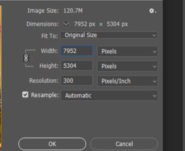 image resizing menu