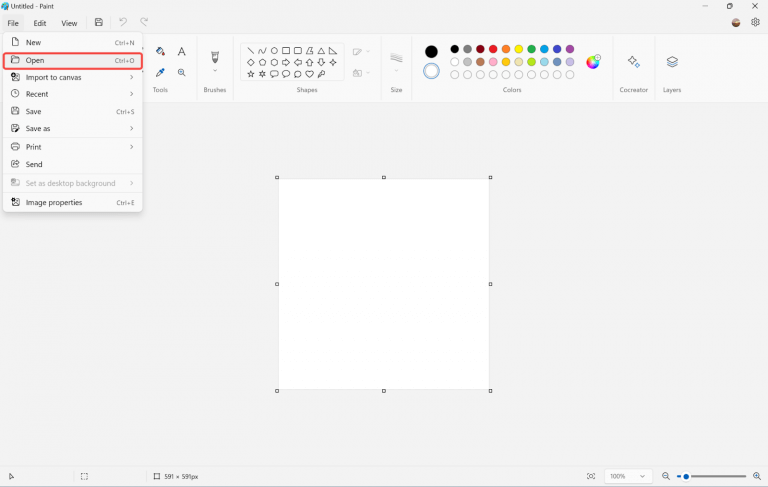 Philippine 1x1 Picture: Size, Printing & Applications