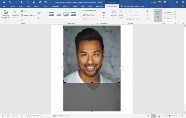 Philippine 1x1 Picture: Size, Printing & Applications
