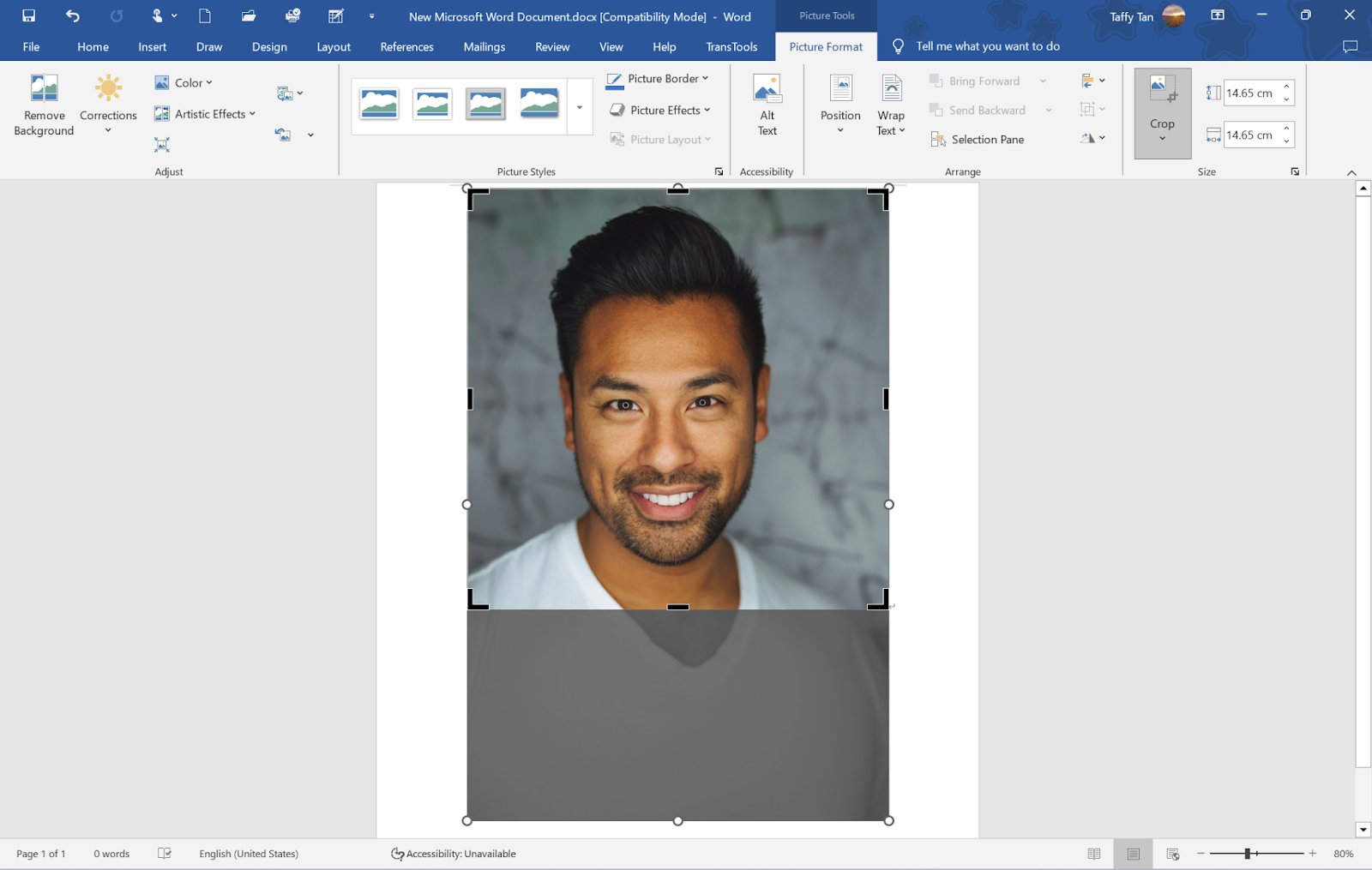 adjust the photo on Microsoft Word