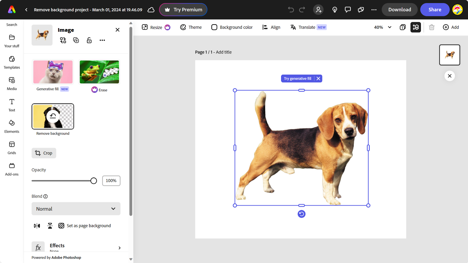 add a new dog's background on Adobe Express