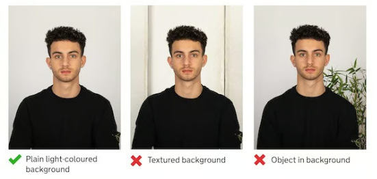 plain background for passport photos