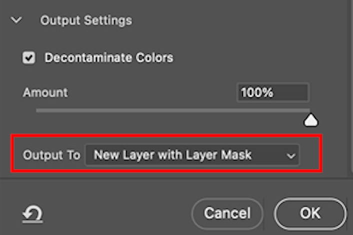 set up a new layer with layer mask