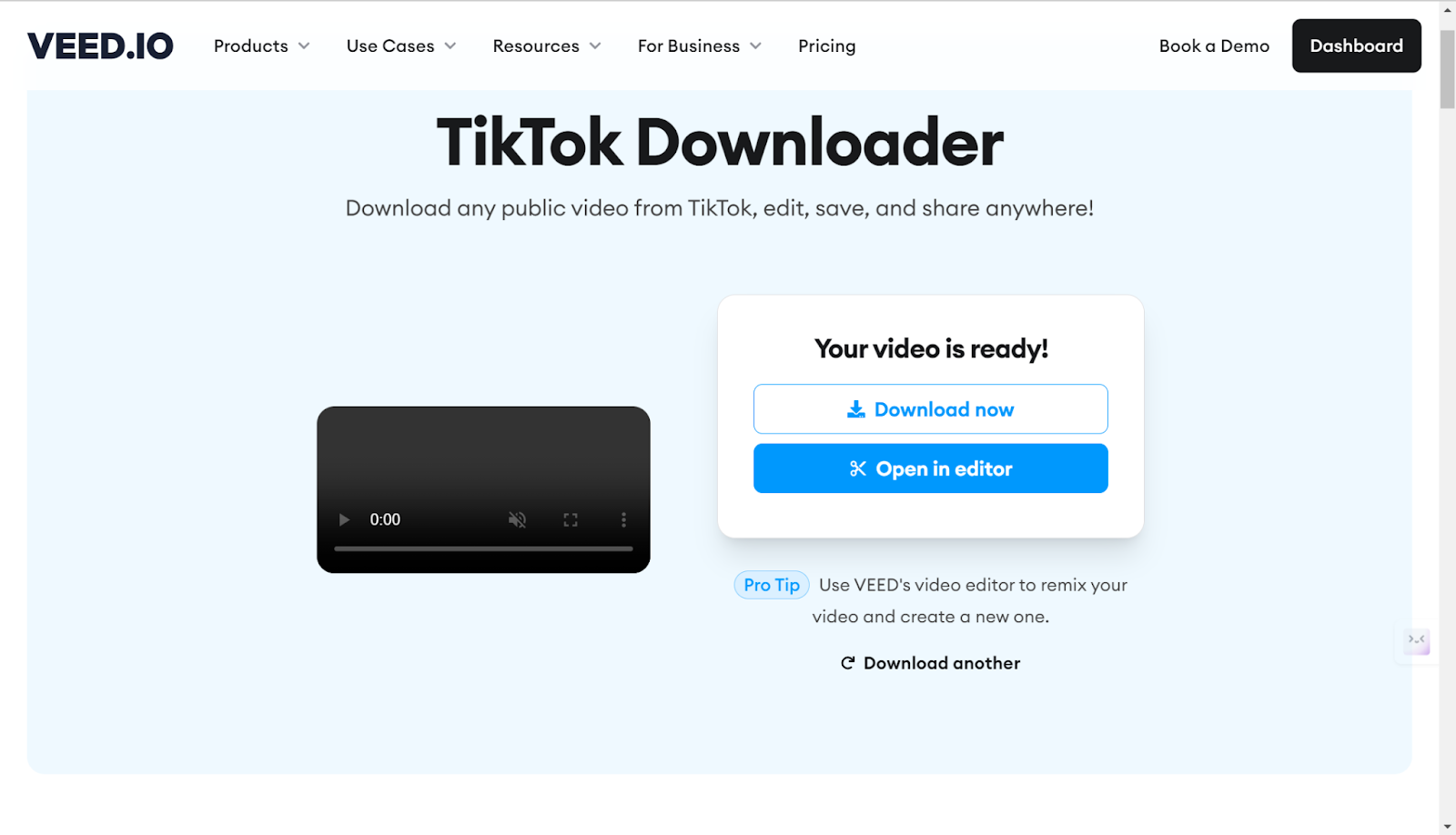 tiktok downloader on Veed.io