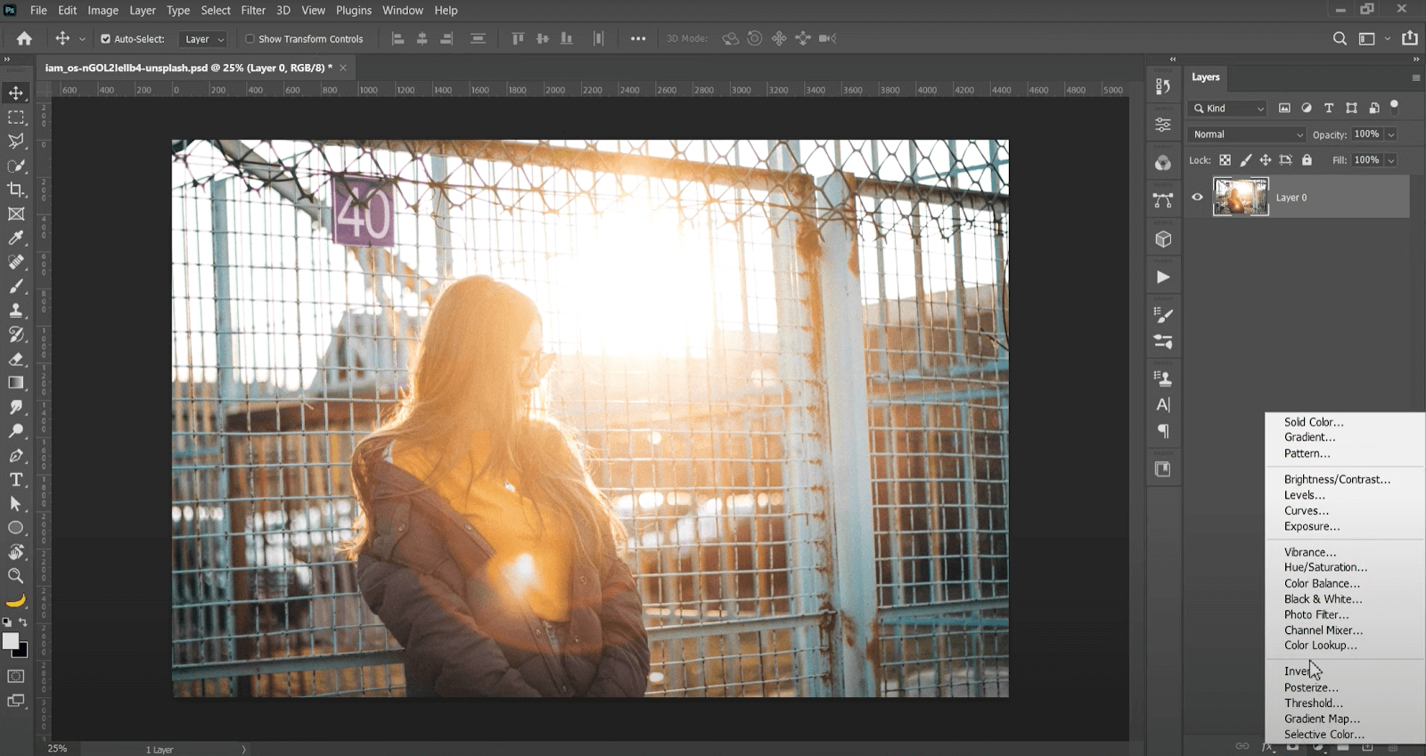 Unlock the photo layer and choose the Hue/saturation