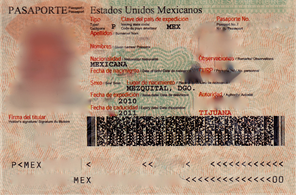 mexican passport inner page