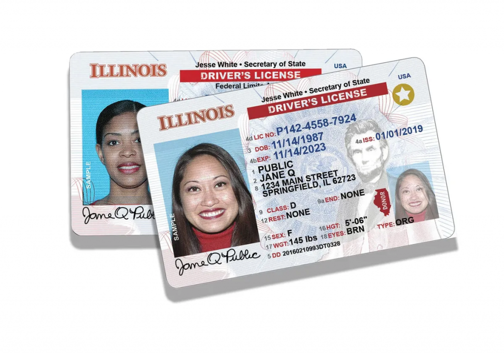 Illinois Driver's License