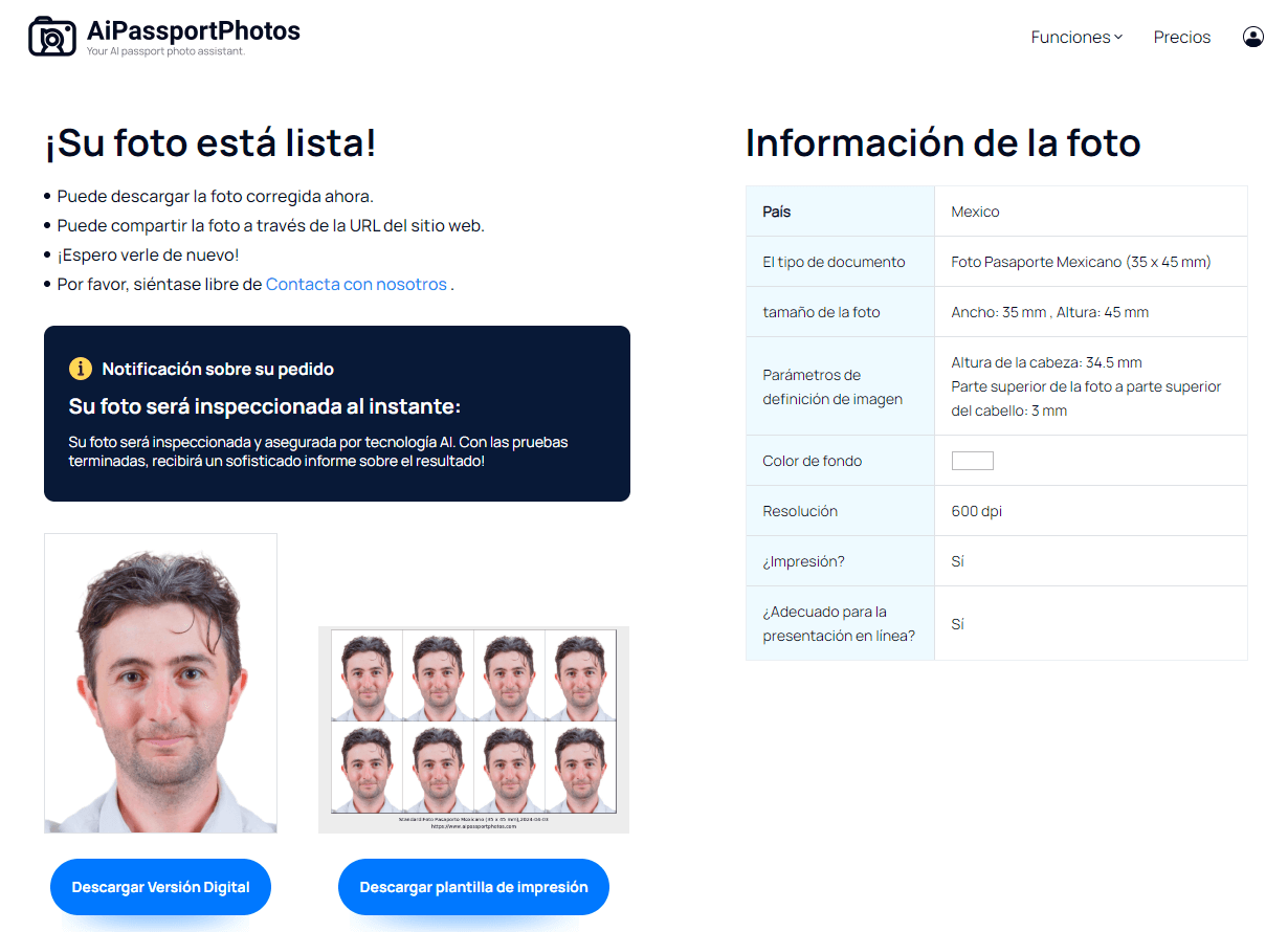Curated visual reference: Visual Reference: How To Renew A Mexican Passport In The Us