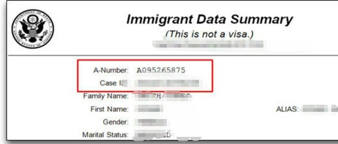 Immigrant Data Summary