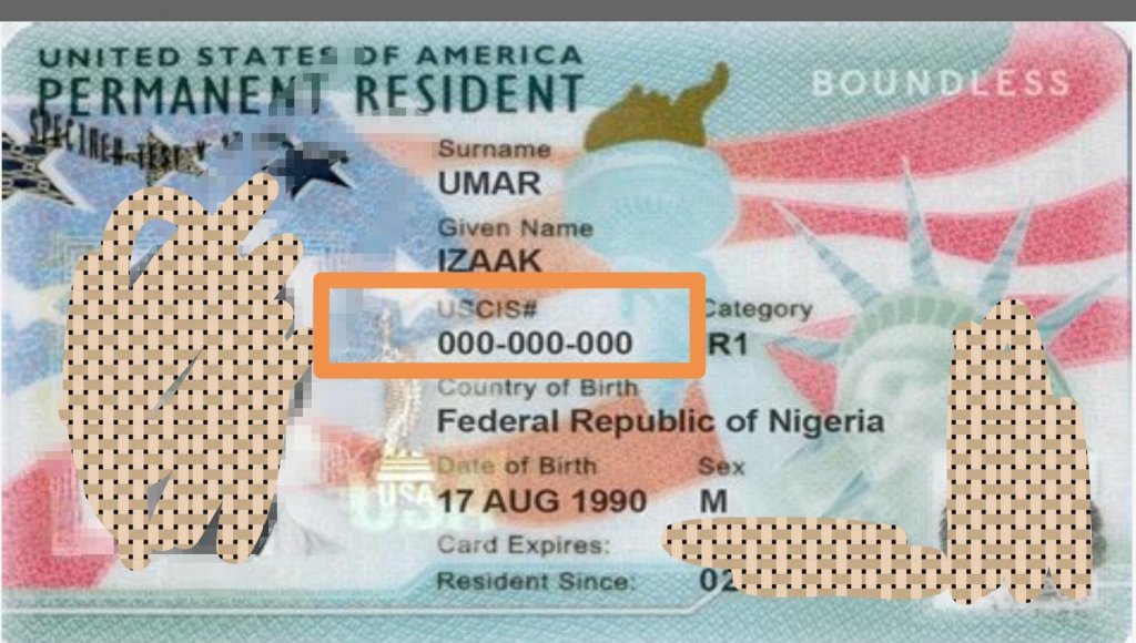 is there an alien number on a us passport
