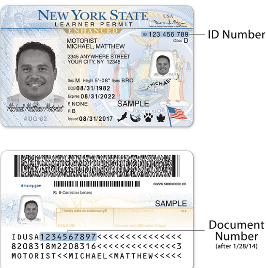 Enhanced Drivers License front and back