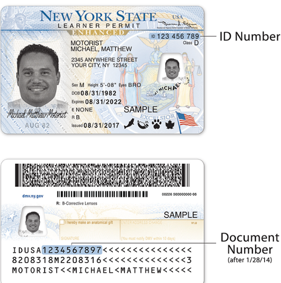 How To Get An Enhanced Drivers License Full Guide 