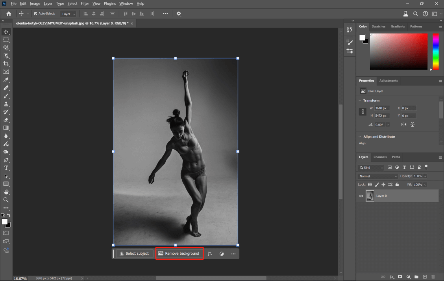 How to Outline an Image [4 Methods]