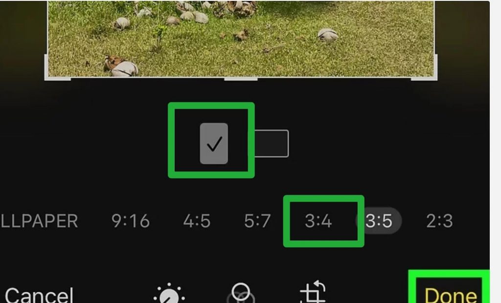 Como fazer e imprimir uma foto 3x4 online
