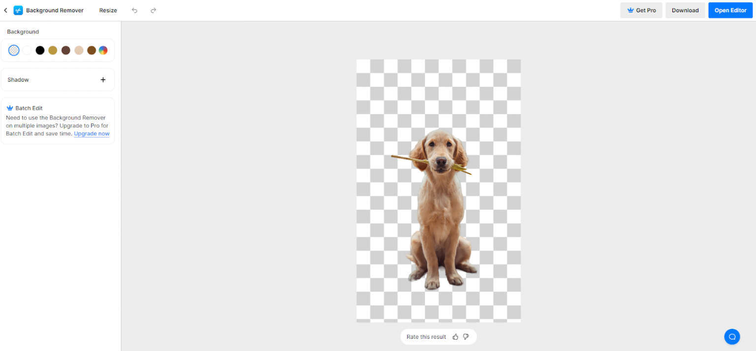 Os 8 Principais Sites para Remover o Fundo de Imagem AiPassportPhotos