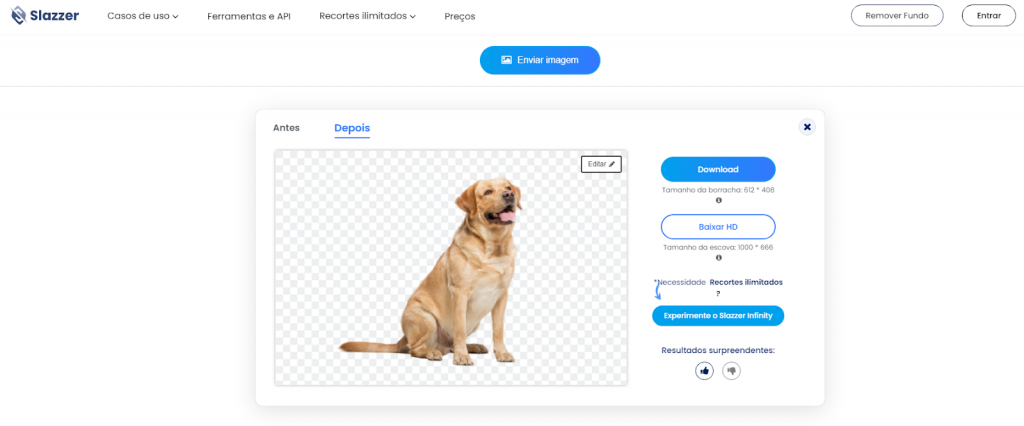 Os 8 Principais Sites para Remover o Fundo de Imagem AiPassportPhotos
